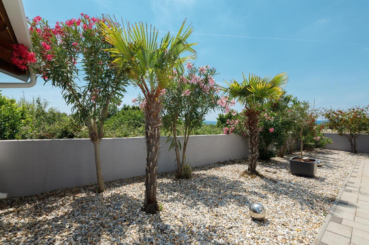 Malo Ferienvilla Privlaka, Pool, Boje, Wi-Fi, Wallbox 普利拉卡 外观 照片